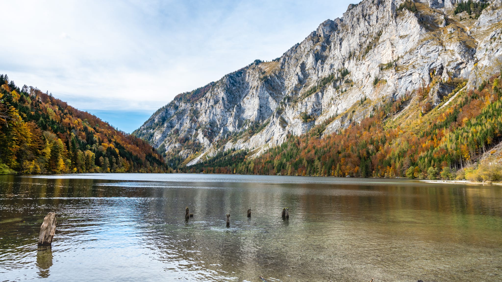 Der Leopoldsteiner See im Herbst © Patrick Neves - stock.adobe.com