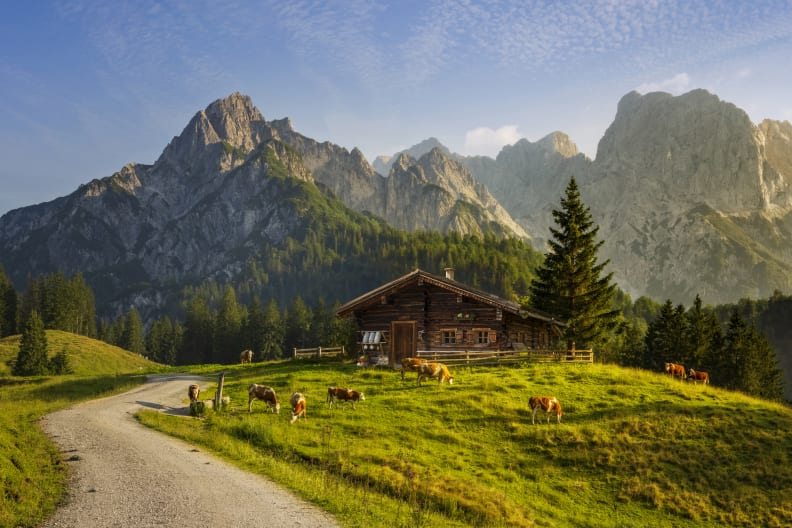 Idyllische Landschaft in den Alpen mit uriger Berghütte und frischen grünen Almen bei Sonnenaufgang © iStock.com/DieterMeyrl