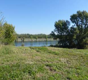 Unterwegs auf der Donauinsel
