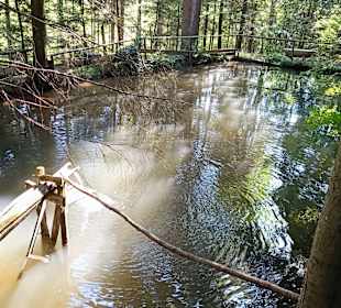 Kleiner Fischteich