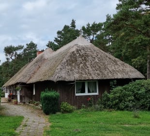 Reetdach