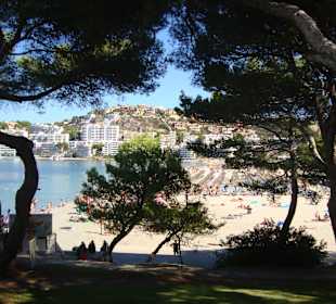 Strand