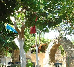 Ali Baba Restaurant