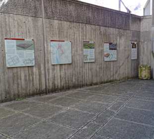 Ausgrabungen Metzgergasse