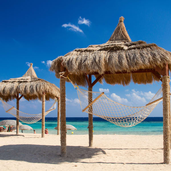 Hammocks On Tropical Beach